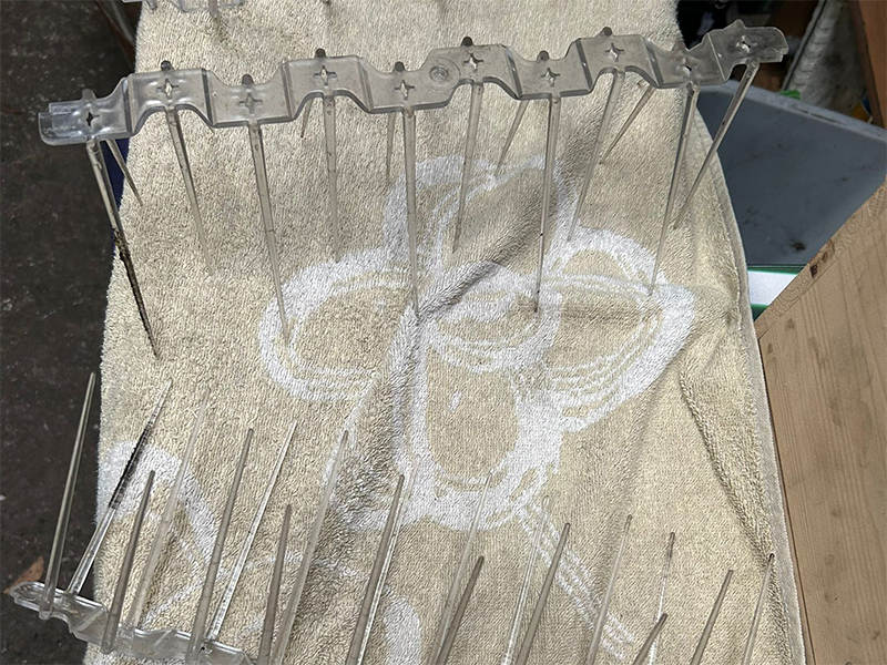 Swallow Proofing & Nest Removal